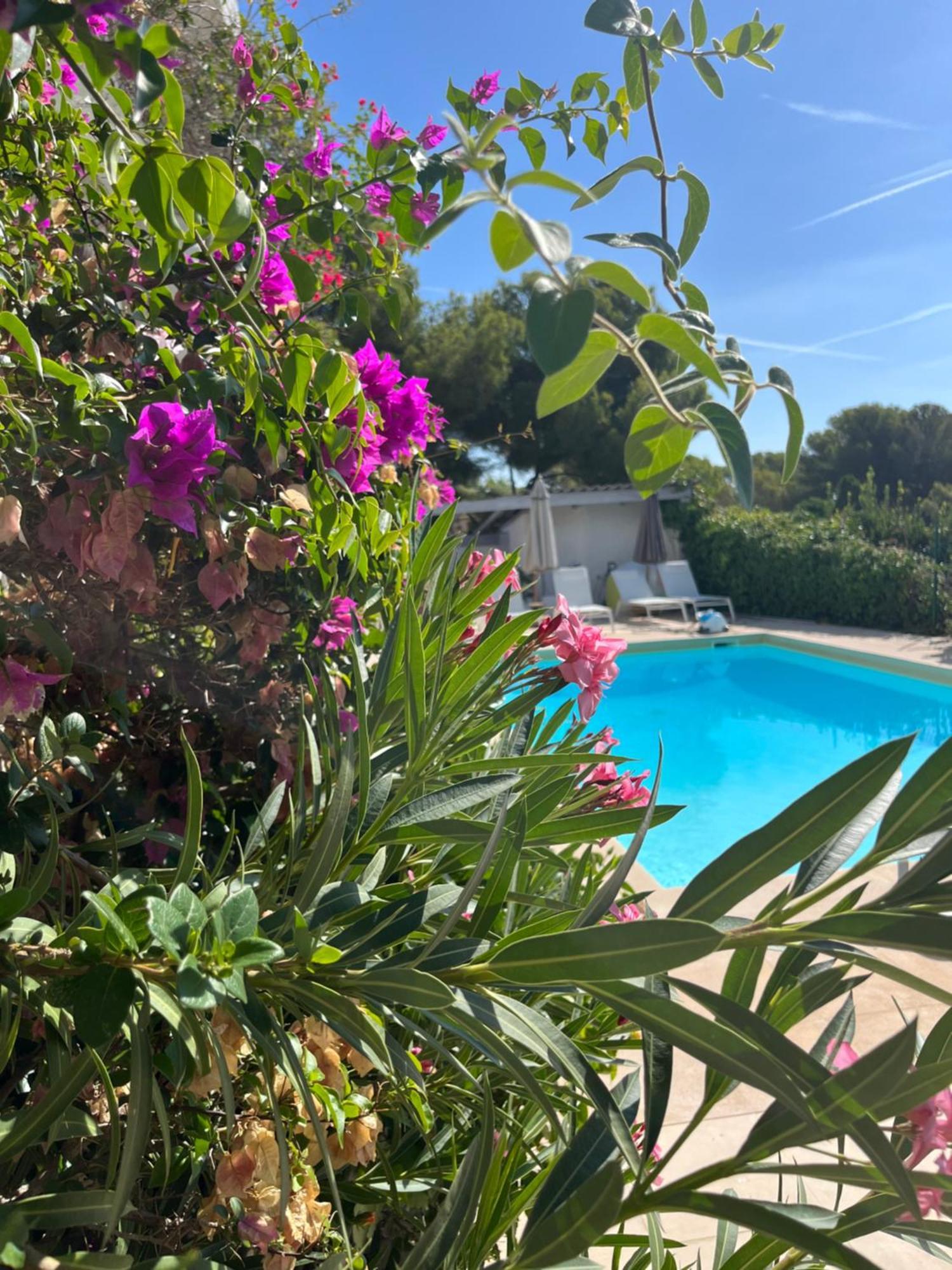Villa Paradis Les Issambres Exterior photo